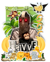 havve card havve card